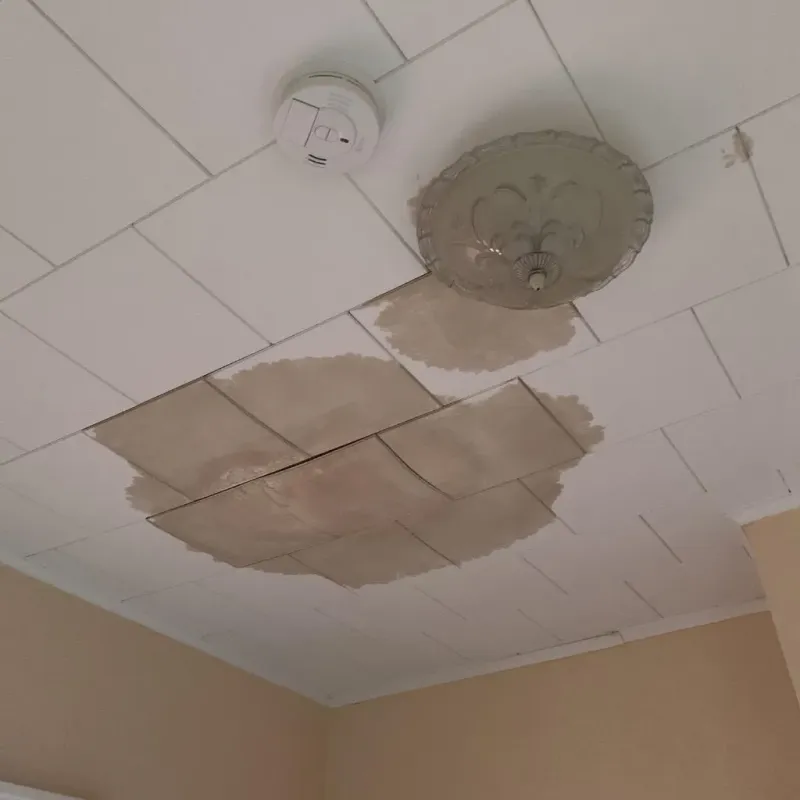 Ceiling Water Damage Repair in Wyoming County, PA