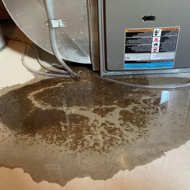 Pipe Burst and Leak Restoration in Wyoming County, PA