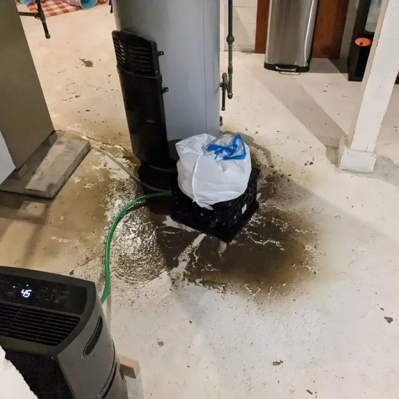 Sewage Backup Cleanup Service in Wyoming County, PA